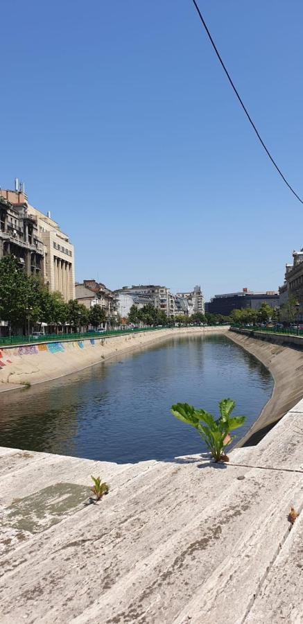 Mary Central Appartaments Bukares Bagian luar foto